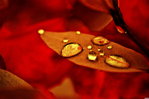 虚拟现实融入电竞联盟大胆创新，引人遐想