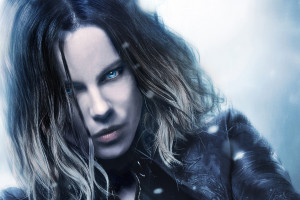 防守的固若城墙,2026世界杯谁能打破僵局