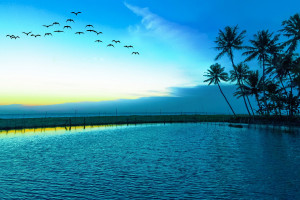 PGC战队名单一出,粉丝炸锅!你的主队在哪里 PGC战队名单一出,粉丝炸锅!你的主队在哪里